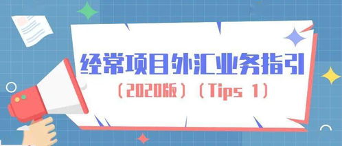 經(jīng)營個人本外幣兌換特許業(yè)務(wù)指南 合規(guī)操作與市場機(jī)遇